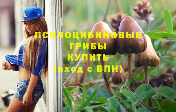 соль курить ск Армянск
